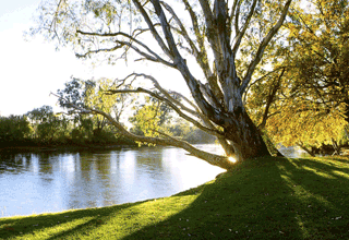 Regional australia
