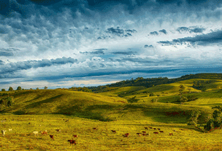 Regional Surge Tipped To Endure