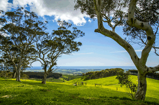 Top 5 Adelaide