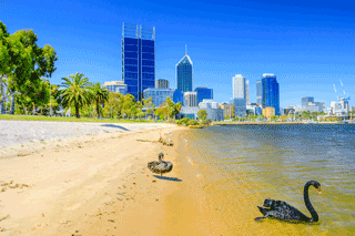 perth