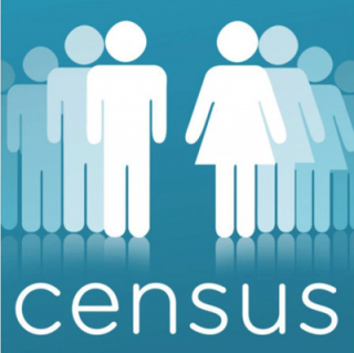 Census Depicts A Strata Story