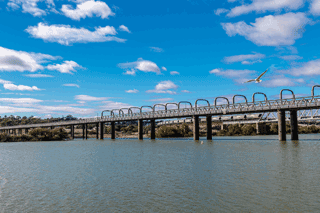 Regions Lead 2022 Price Growth